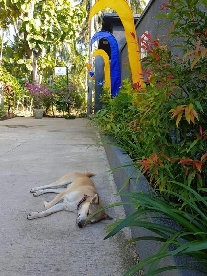 Mias Jungle House Hotel Lovina  Exterior photo